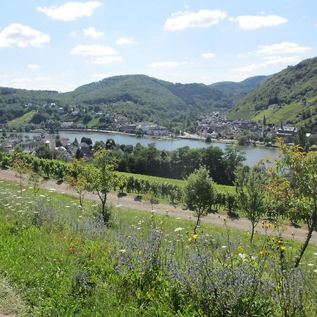 Feriendomizil Am Lindenplatz Hotel Bullay Kültér fotó